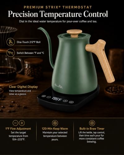 Gooseneck Electric Kettle
