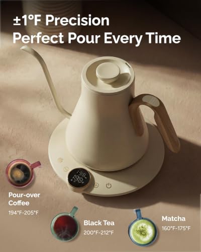 Gooseneck Electric Kettle