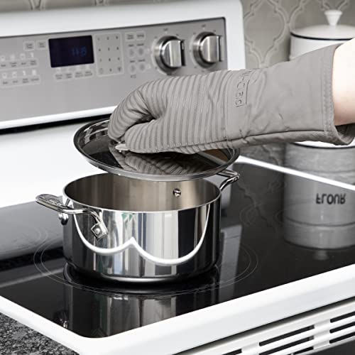 Premium Silicone Oven Mitt