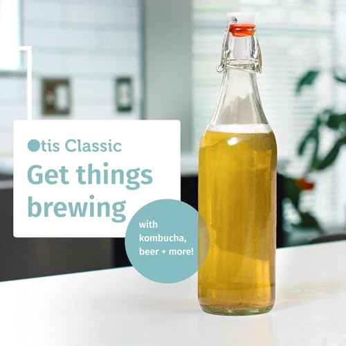 Clear Swing Top Glass Bottles (6 Count)