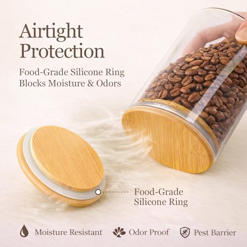 Glass Storage Containers with Lids (6 Count)