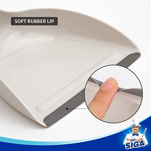 Mini Dustpan and Brush Set