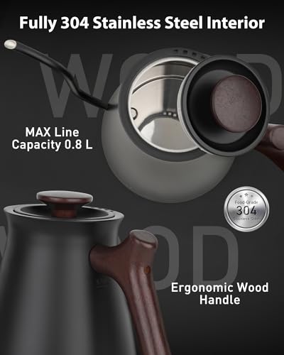 Gooseneck Electric Kettle