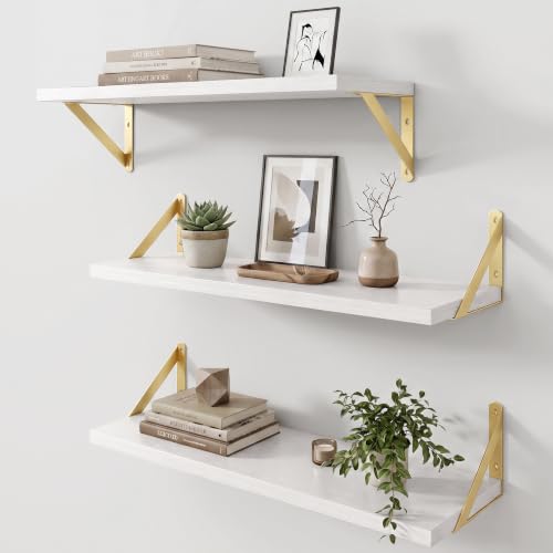 Wall Mounted Floating Shelves Set of 3