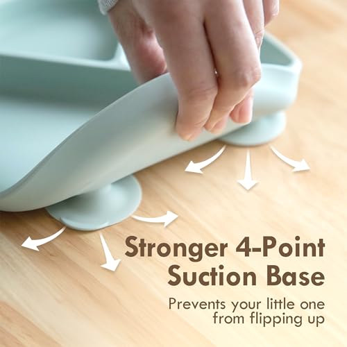 Suction Plates for Baby (3 Count)