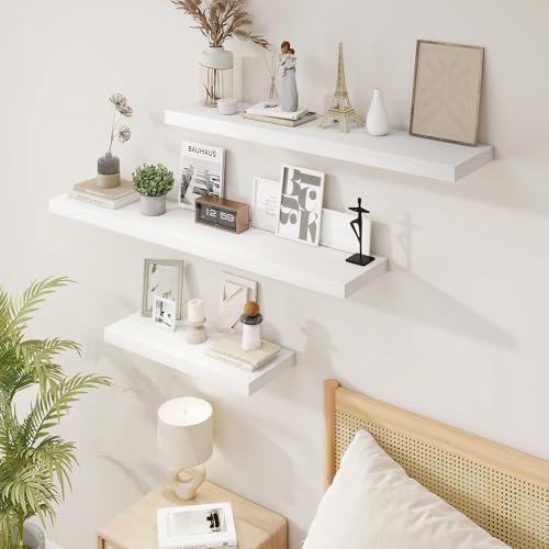 16 Inch Floating Shelves (2 Count)