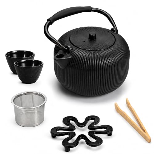 Cast Iron Teapot Set with 2 Cups