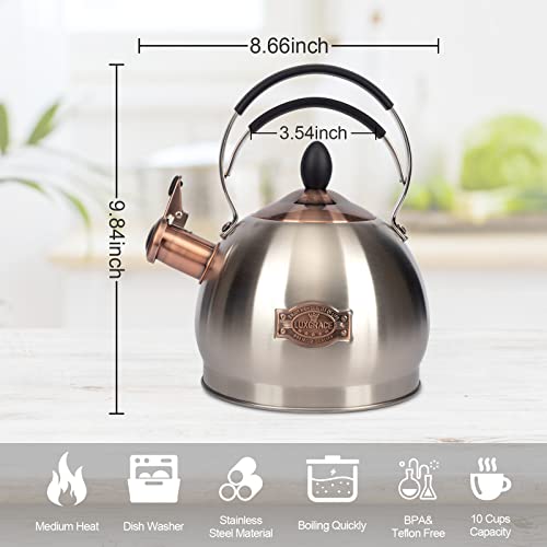 Whistling Tea Kettle Stainless Steel Teapot