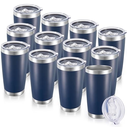 20 oz Tumblers Bulk Stainless Steel Tumbler with Lid (12 Count)