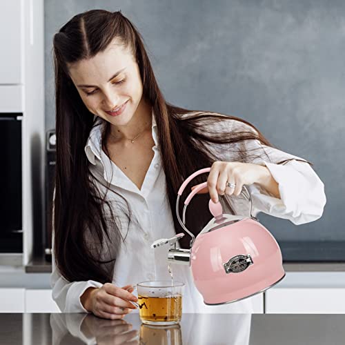 Whistling Tea Kettle Stainless Steel Teapot