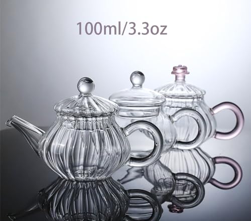 Mini Tea Pot Glass Teapot Small Tea Kettle for One person use