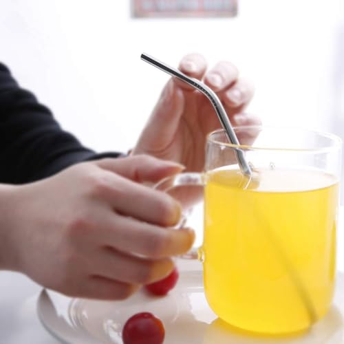 Set of 10 Stainless Steel Straws (10 Count)