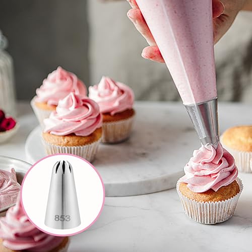 12 PCS Large Piping Tips