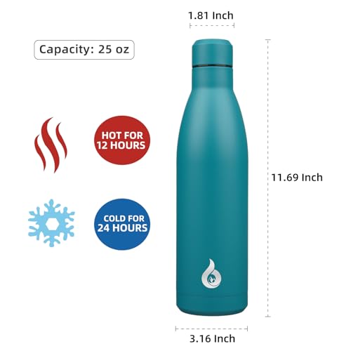 25 oz Insulated Stainless Steel Water Bottle