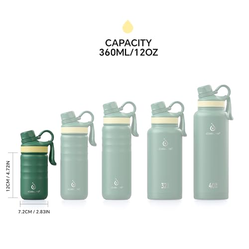 Insulated Water Bottle 12oz