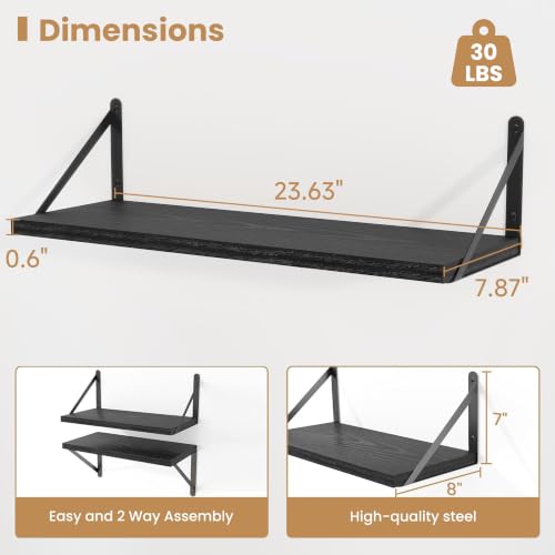 Floating Book Shelves for Wall (3 Count)