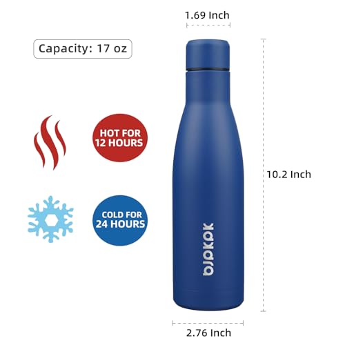 17oz Skinny Insulated Water Bottle