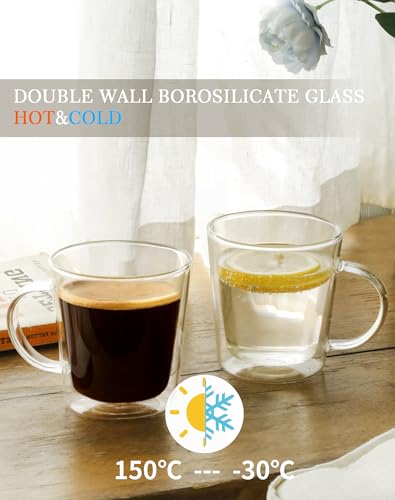 12oz Double Wall Glass Coffee Mugs (6 Count)
