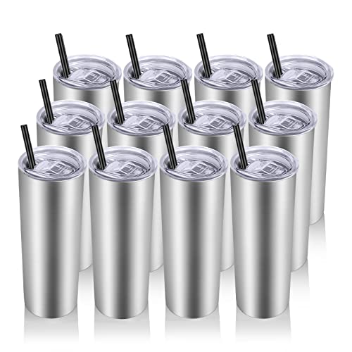 Stainless Steel Tumblers Bulk 12 Pack (12 Count)