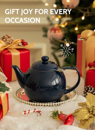 Teapot Porcelain Tea Pot with Stainless Steel Infuser