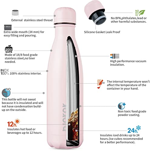 17 oz Insulated Water Bottle