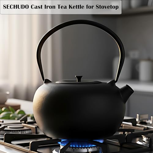 67.6oz Large Cast Iron Teapot and Cups Set