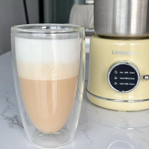 Stainless Steel Milk Frother and Steamer