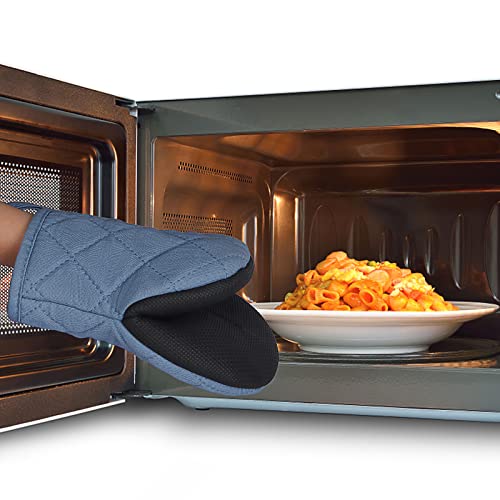 Mini Oven Mitts 2 (2 Count)