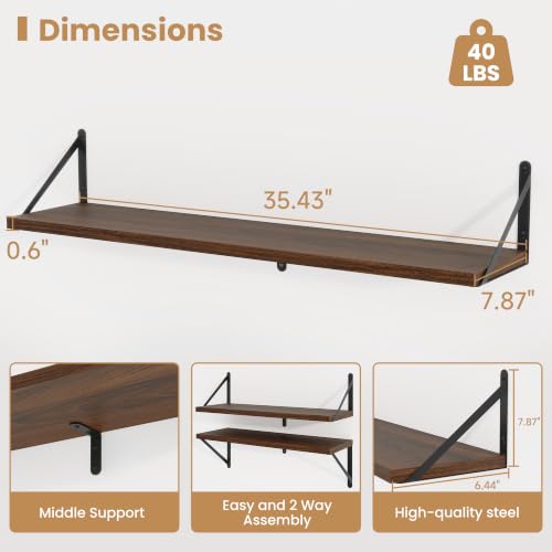 Floating Book Shelves for Wall (3 Count)