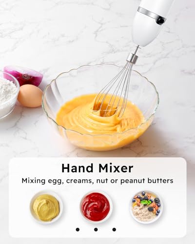 Immersion Blender Handheld