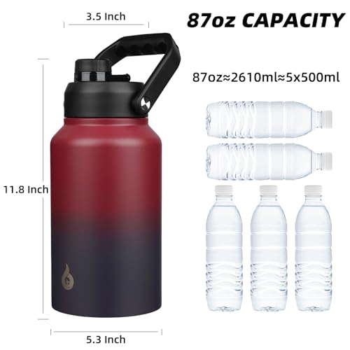 87oz Insulated Water Bottle