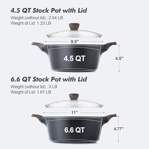 Nonstick Stock Pot with Lid