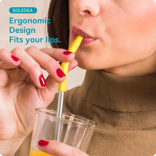 20 oz Straight Metal Straws with Silicone Tip for 20 oz Tumbler