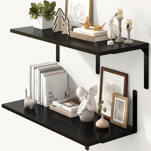 Floating Shelves for Wall (2 Count)