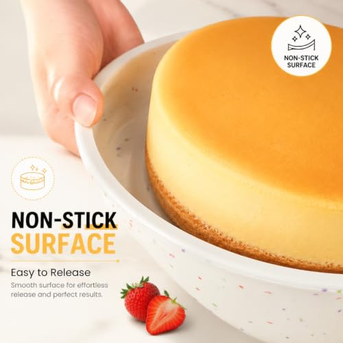 10 Inch Round Cake Pan with Stainless Steel Frame
