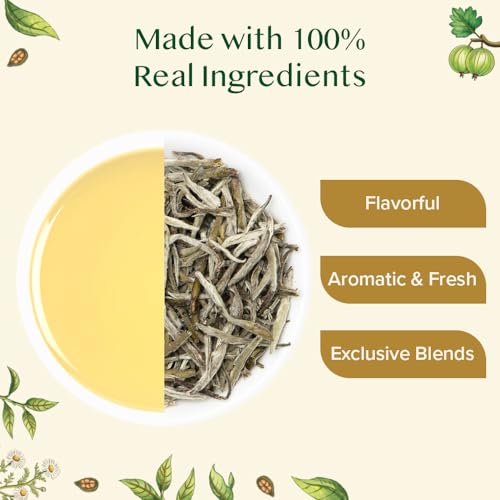 Assorted White Tea Sampler Gift Set