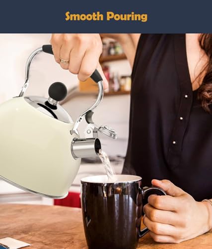 Tea Kettle 2 Quart Stainless Steel Whistling Tea Kettle