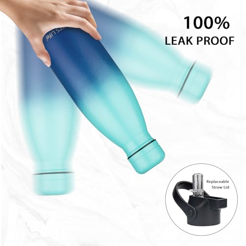 Insulated Water Bottle (2 Count)