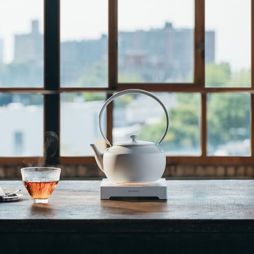 MoonKettle Electric Kettle with Temp Control