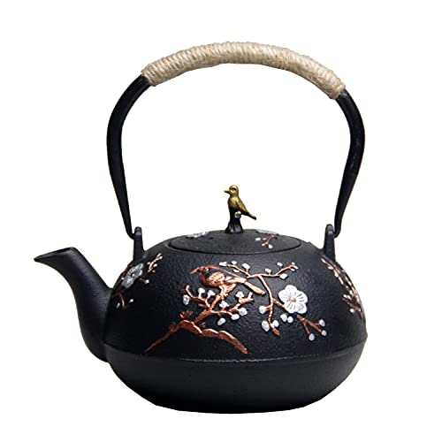 Cast Iron Teapot SECHUDO Teapot for Stovetop Safe Coated with Enameled Interior