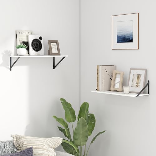 Deep Floating Shelves for Wall (2 Count)