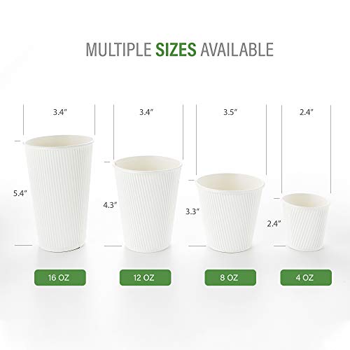 12 Ounce Disposable Cups