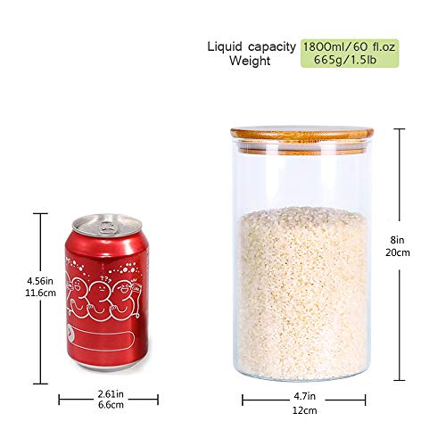 Glass Rice Storage Containers