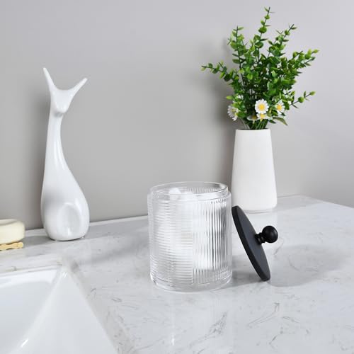 Clear Transparent Apothecary Ribbed Geometric Etched Glass Jar W