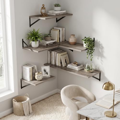 Wall Mounted Floating Shelves Set of 2 (2 Count)