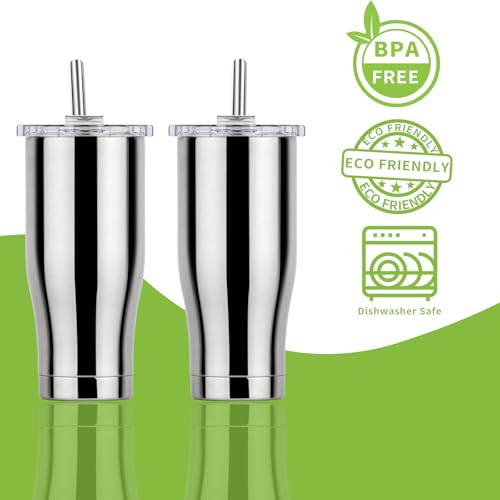 5 Pcs Stainless Steel Smoothie Straws (5 Count)