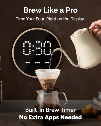 Gooseneck Electric Kettle