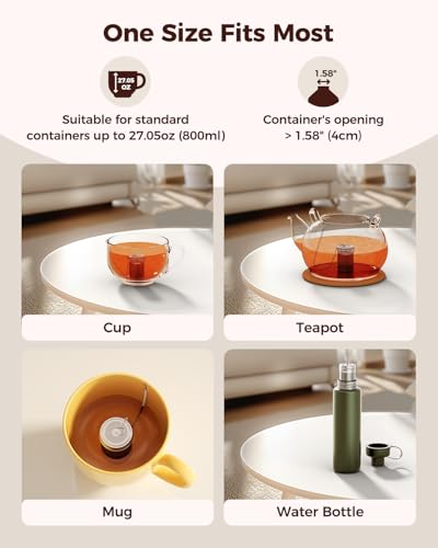 2 Pack Reinmoson 304 Stainless Steel Tea Infuser for Loose Leaf Tea (2 Count)