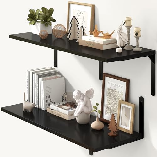 Floating Shelves for Wall (2 Count)