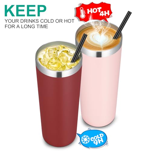 20 oz Stainless Steel Skinny Tumbler with Lids and Straws (6 Count)